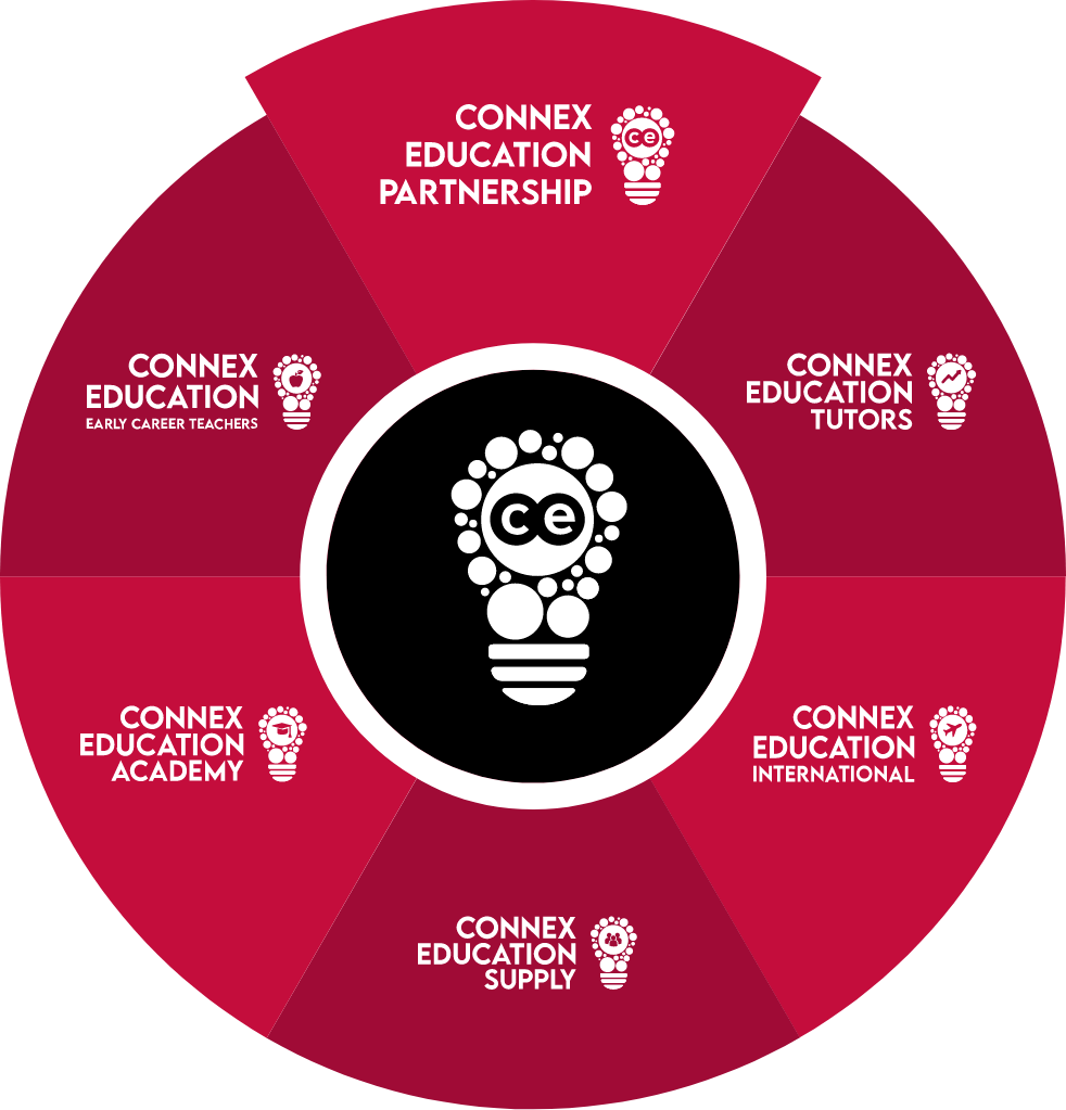 Connex-Flywheel of the connex brands