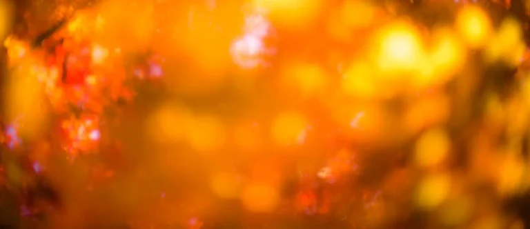 Autumn leaves